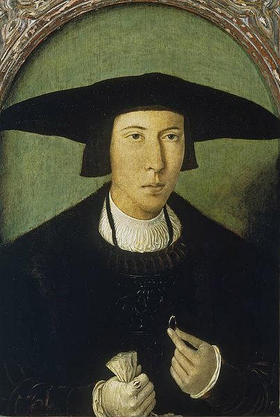 Jan Mostaert Portrait of a Young Gentleman oil painting image